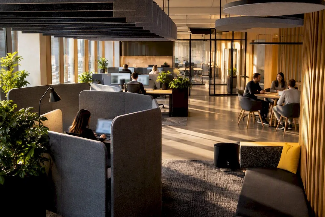 Open-plan office acoustics: from diagnosis to solution