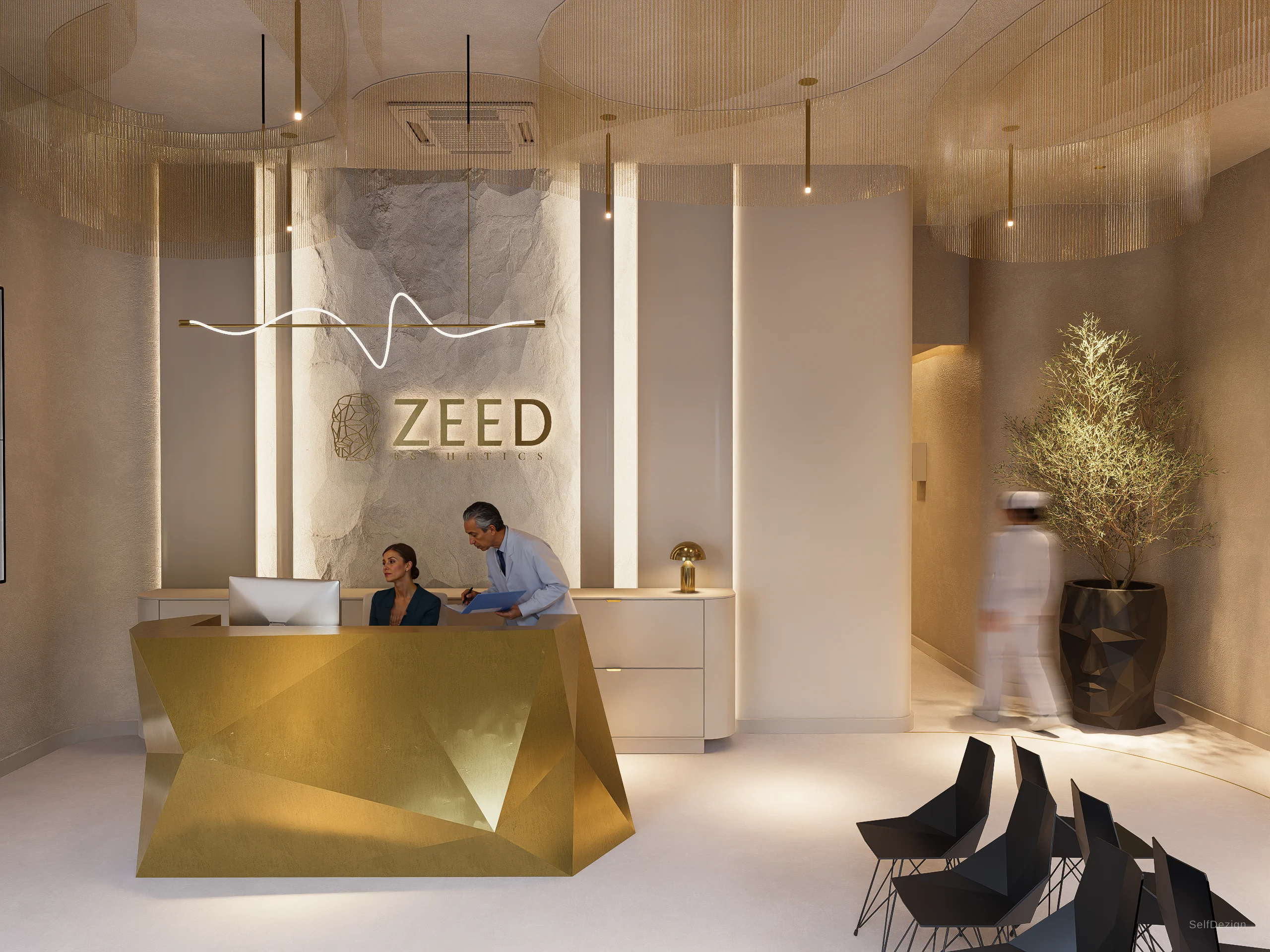 Zeed Esthetics